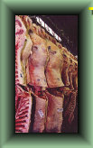 setter_angus004021.jpg